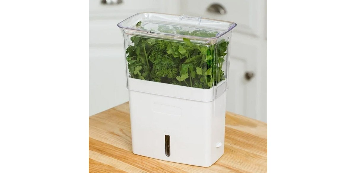 HHY Cole & Mason Fresh Herb Keeper HHY Cole & Mason Fresh Herb Keeper