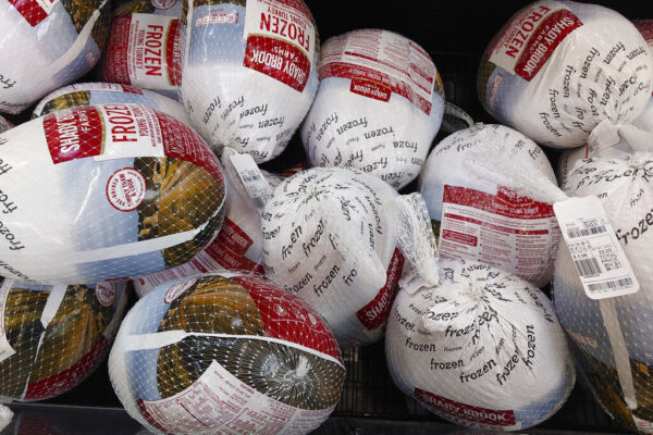 Thanksgiving Turkeys