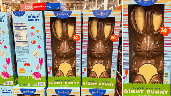 Chocolate Easter bunnies
