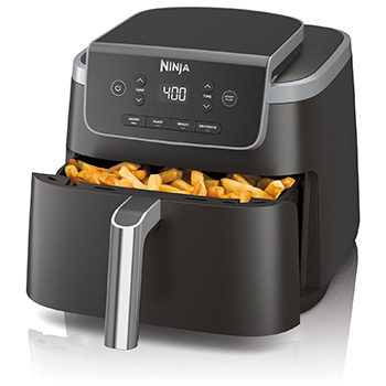 Ninja Air Fryer Pro 4-in-1