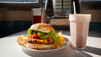 Cheeseburger topped with lettuce, tomato, and onion on a plate with potato chips, served beside a tall milkshake in a retro diner booth.