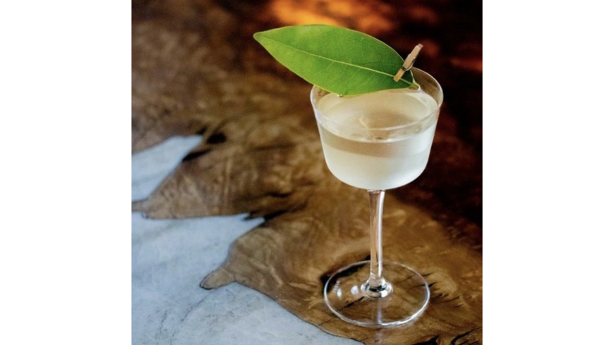 True Laurel martini sitting on bar with laurel leaf