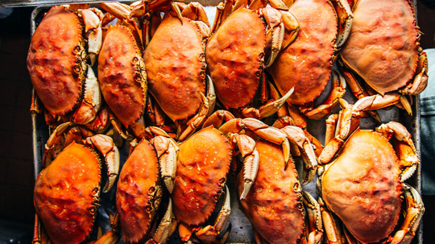 Fresh cooked Dungeness crabs arranged in neat rows on a metal tray, their bright orange shells filling the frame.