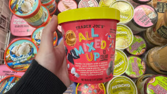 Trader Joe's All Mixed Up Ice Cream.