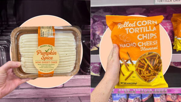 Trader Joe’s pumpkin spice mini sheet cake with cream cheese frosting in a plastic tray, held in a shopper’s hand.