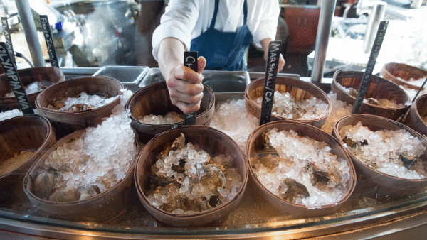 A seafood counter displaying oysters in wooden bowls covered with crushed ice, with a server holding a label identifying the oysters.