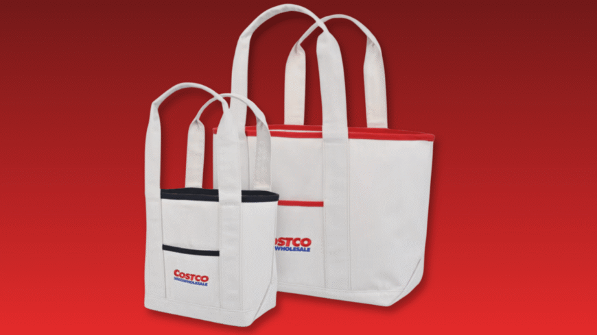 Costco mini tote bags