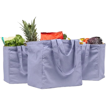 VeraMia Canvas Grocery Bag 3pc